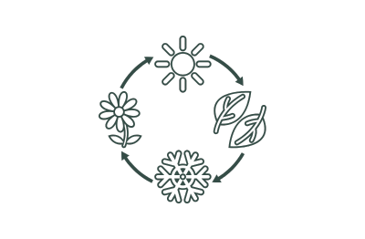 Shine SVG Club includes 7+ new designs every month