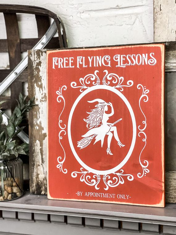 Free Flying Lessons